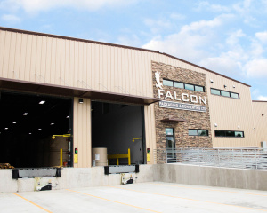 Falcon Packaging and Converting